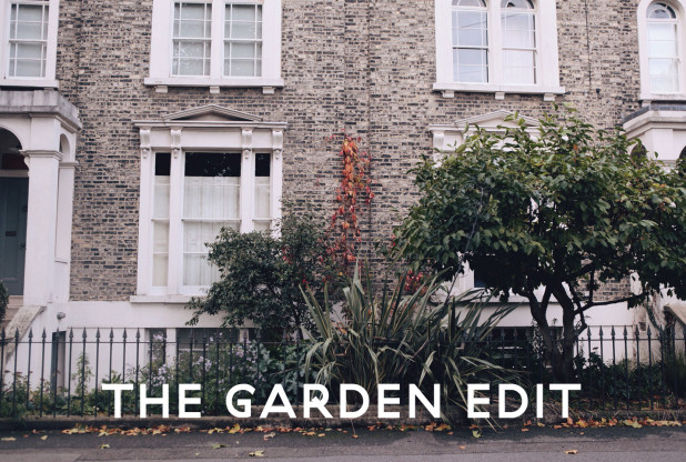 The-Garden-Edit