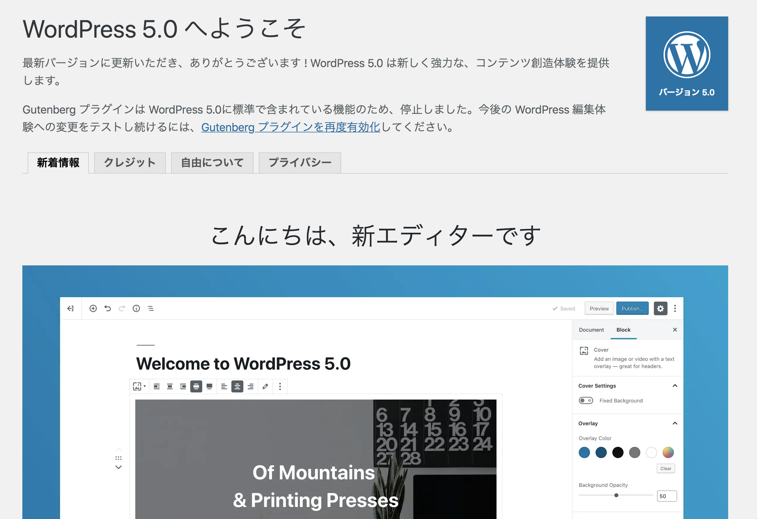 Wordpress version